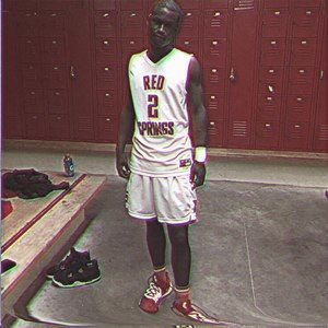 Meet your Posher, Bee